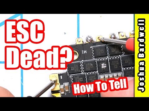 Is Your ESC Broken | HOW TO FIND OUT