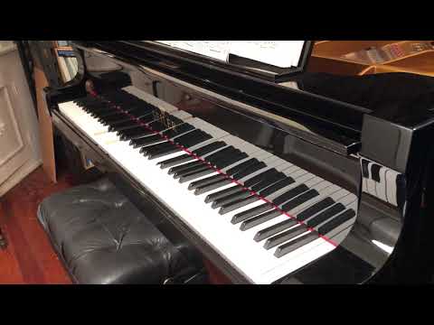 I'm A Jazz Vampire - Jazzy Number played by Herbert Claar on Ampico - Seiler LX