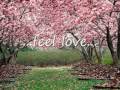 Season of Love - Shiny toy guns lyrics 