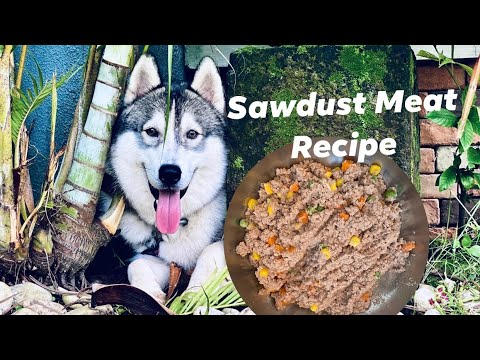 YouTube video about: How to make sawdust dog food?