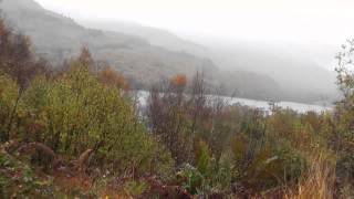 preview picture of video 'Les Trossachs : Entre Aberfoyle et Callander (Scotland)'