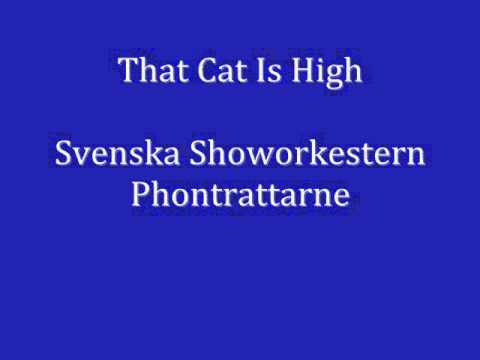 That Cat Is High - Svenska Showorkestern Phontrattarne