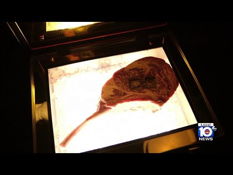 Local 10 sits down with Papi Steak grilling extraordinaire