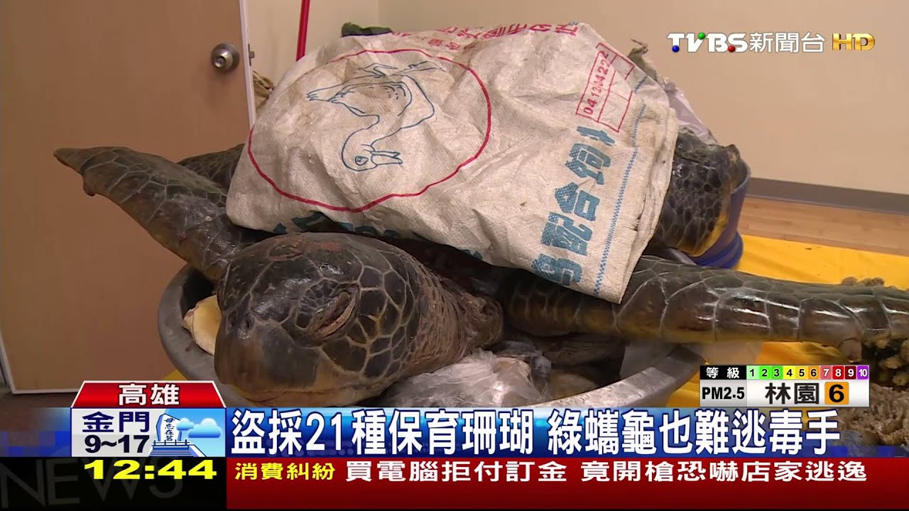 陸船闖東沙環礁濫捕 海巡跨海千里抓人