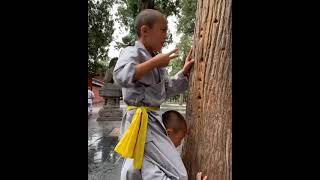 Download lagu Shaolin Iron Zen Finger Training mp3 Download lagu Shaolin Iron Zen Finger Training mp3