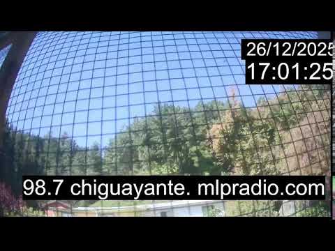 Chiguayante Bio Bio Chile, en Vivo. Live Cam, Camara en vivo.
