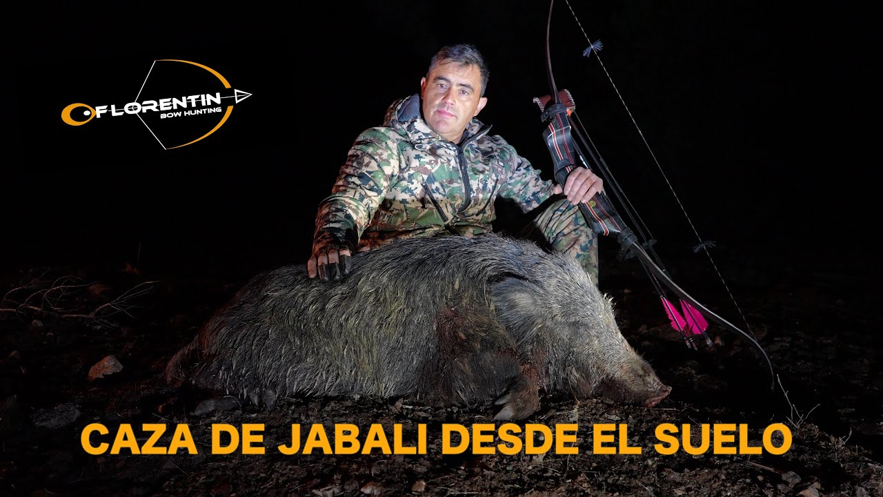 COMO CAZAR UN JABALI DESDE EN UN PUESTO DE SUELO