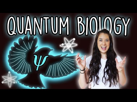 Quantum Biology [Part 3] - How Birds (Might) Navigate With Quantum Mechanics