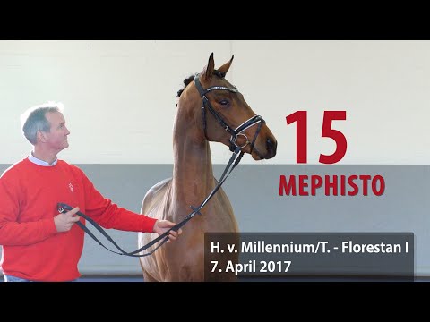 15 Mephisto Hengst v. Millennium/T. - Florestan I