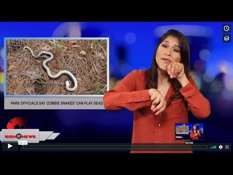 Park officials say 'Zombie snakes' can play dead (ASL - 6.12.19)