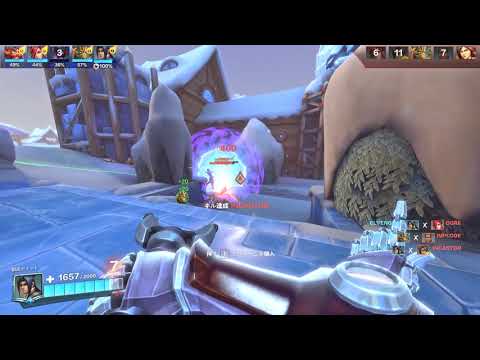 Paladins 2020.01.29 安定のzhin(Elvengrad)さん