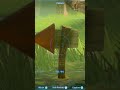 Ever notice these red arrows in TOTK? They are actually part of Korok puzzles. #shorts