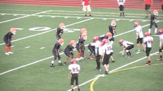 preview picture of video 'Cumberland Valley Eagles vs York City Bears Central Pa Youth Football Part 2 of 2'