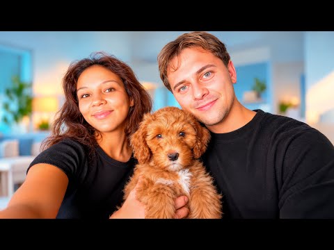 Vi henter vores nye Hundehvalp!