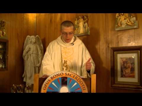 Homily 6 On the Feast of St. Thomas Aquinas - Fr. Clement, OSB