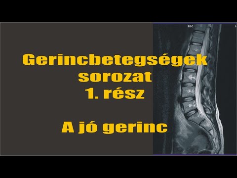 A gerincbetegségek sorozat 1. rész: A jó gerinc