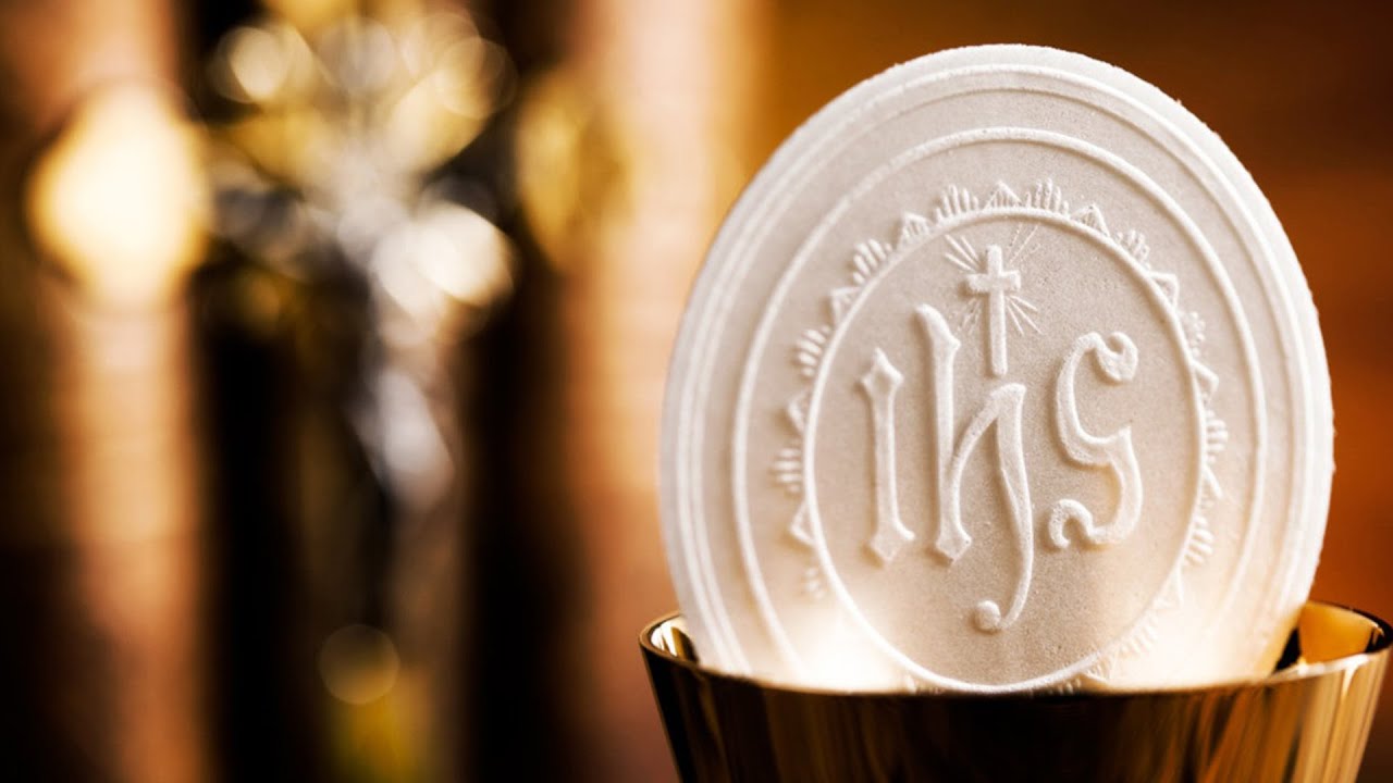 COMO COMUNGAR BEM | Padre Paulo Ricardo