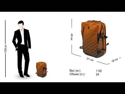 Рюкзак Victorinox VX Laptop Touring Gold Flame 24л 