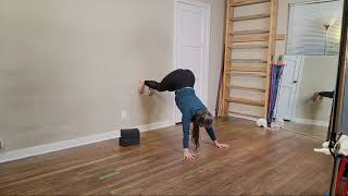 Level 2:  Monday  June 22nd  11am (ANDRIA)