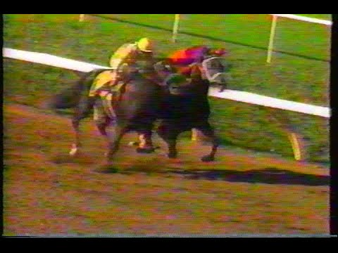 1990 Hollywood Gold Cup *Poor Quality*