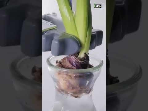 Dobot CR robot integrated with soft gripper