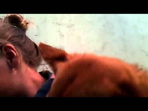 Vídeo de webcam de  8 de dezembro de 2014 12:48 (PST)