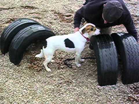 Jeffrey learning to crawl through tires