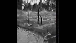 eric Metronome - Waltz of the Z's