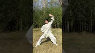 Tai Chi Power! The 8 Energies in 24 Seconds