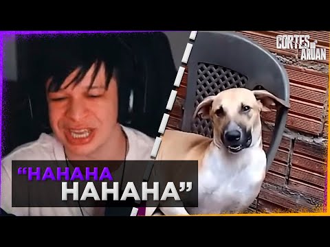 ARUAN REAGE A AMORA (COMPILADO DE MEMES) PARTE 56 - Cortes do Aruan