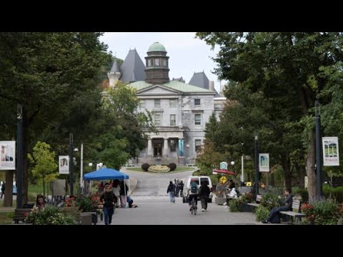 Lilley Unleashed Liberals Have Broken The Immigration System And They Aren'T Fixing It