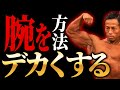 【筋トレ】剛腕作りたければこれをやれ!【日体大准教授】