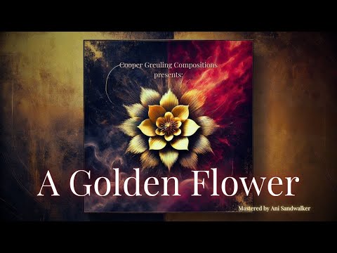 NO inspiration Piano Performance Video