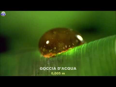 ZOOM dall'infinitamente piccolo all'infinitamente grande