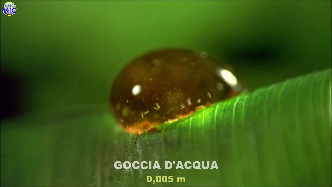 Francesco Sonzogni-124