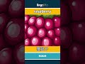 raspberry - 覆盆子 video thumbnail