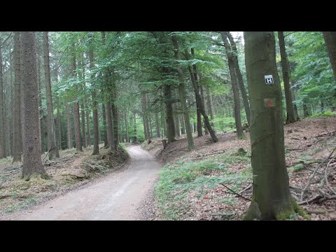 HERMANNSHÖHEN 2020 Etappe 4 von Bad Iburg nach Borgholzhausen #Wandern | #hike