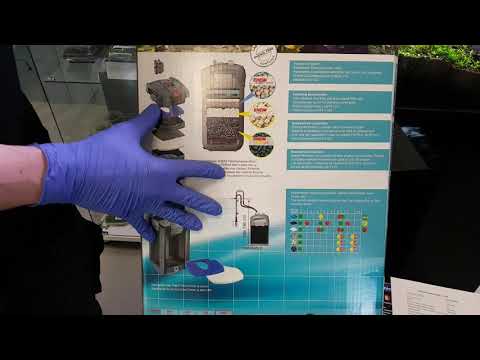 Watch Video on YouTube