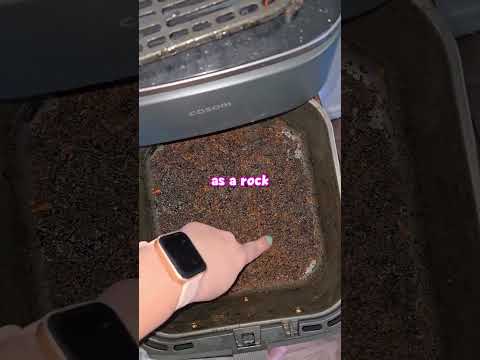 Air Fryer Cleaner 🤯