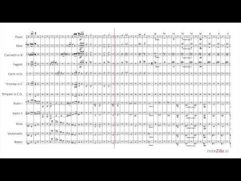 Sheet music - Beethoven Symphony No. 5, Mvt. I (HD)