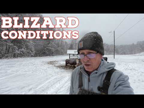 NO DAYS OFF: Battling a Winter Storm on the Farm