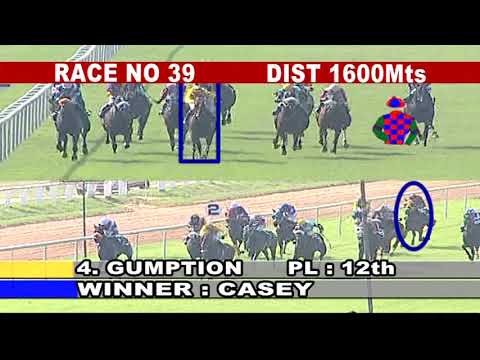 Race preview  Dt 29th December 2018