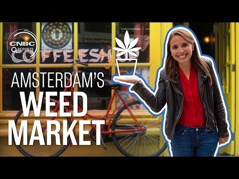 Amsterdam's jealous of America's weed industry | CNBC Reports