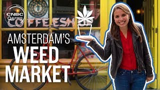 Amsterdam’s jealous of America’s weed industry | CNBC Reports