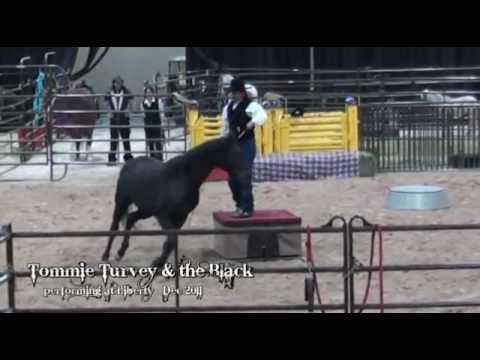 Tommie Turvey and his horse "the Black" at Liberty