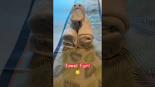 “Carnival Cruise Surprise”