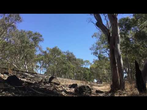 BL30 and G520 on the  fruity, 22/02/2019