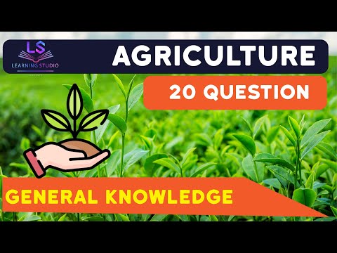 GK(सामान्य ज्ञान) हिंदी & Eng. video thumbnail