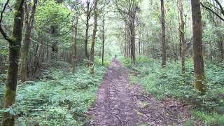 preview picture of video 'The Serpent Trail: Liss to A286 Near Henley 14 June 2014'