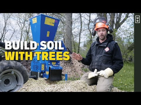 Market Gardening Meets Permaculture | Harness The POWER Of Trees! 🌳